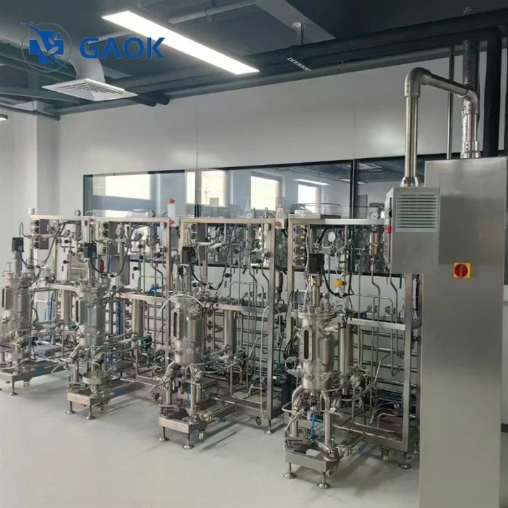 10L bioreactor 10L bioreactor